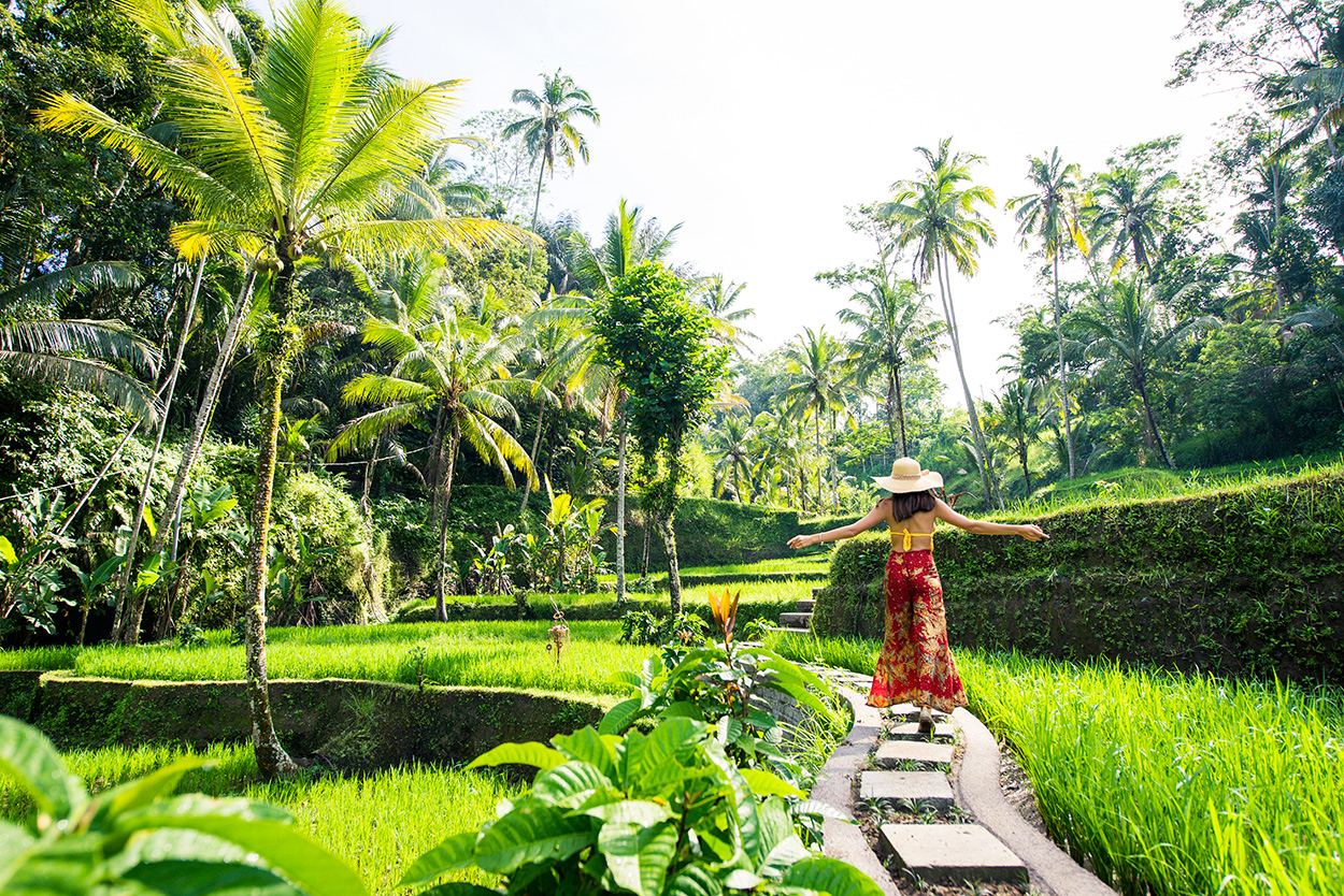 Tegallalang Rice Terraces in Ubud, Bali